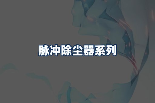 脉冲除尘器展示